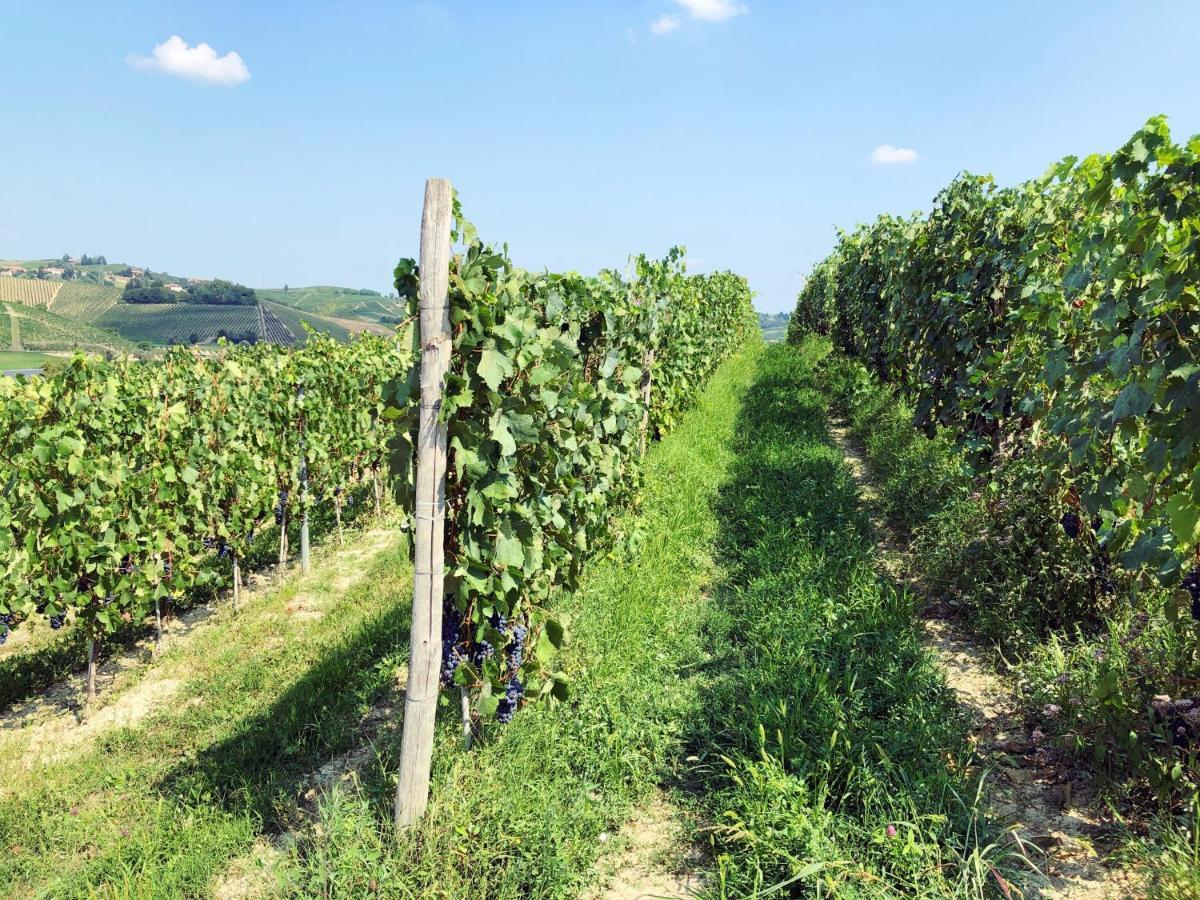 Agriturismo La Mussia Castelnuovo  Bagian luar foto
