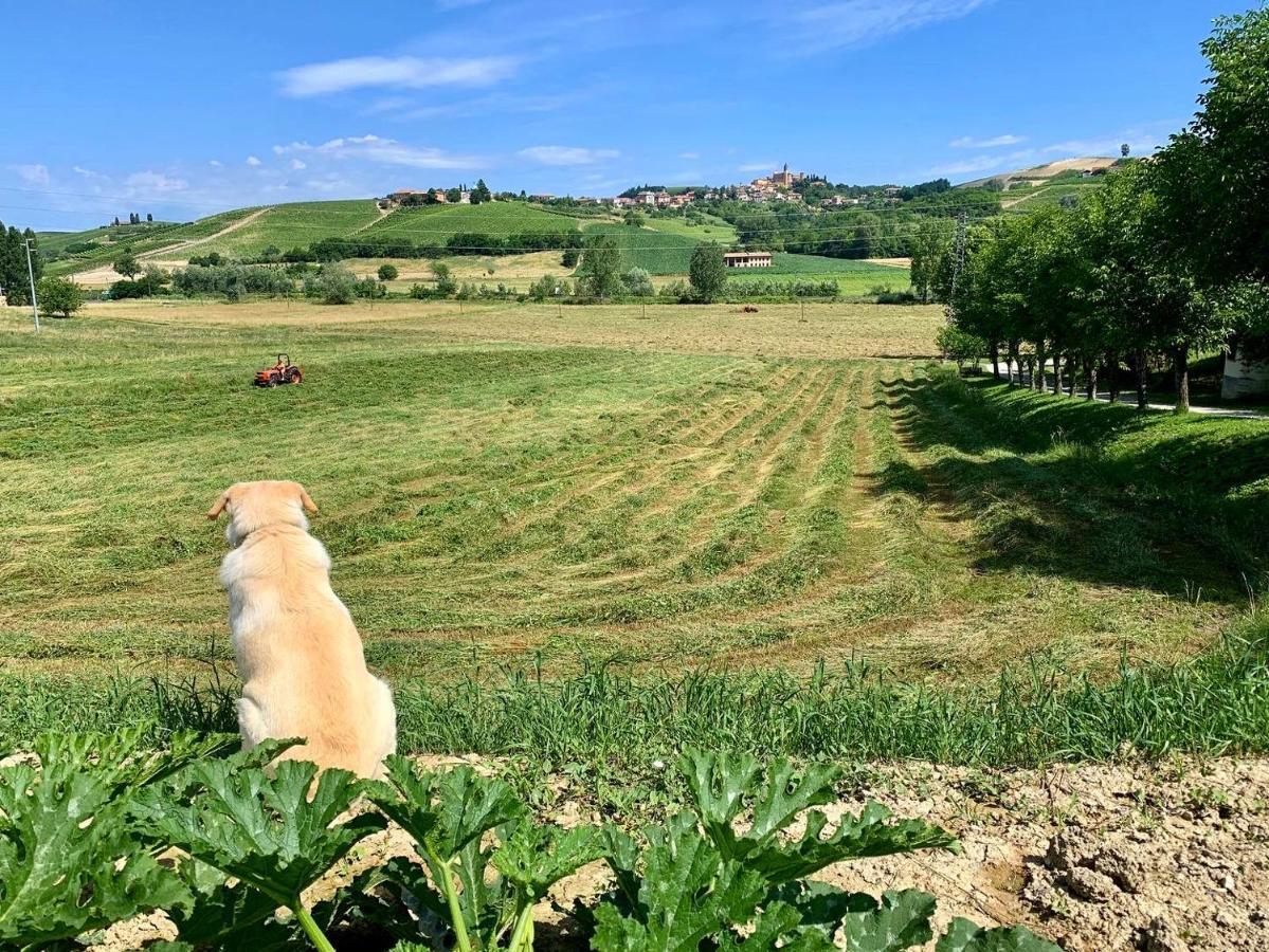 Agriturismo La Mussia Castelnuovo  Bagian luar foto
