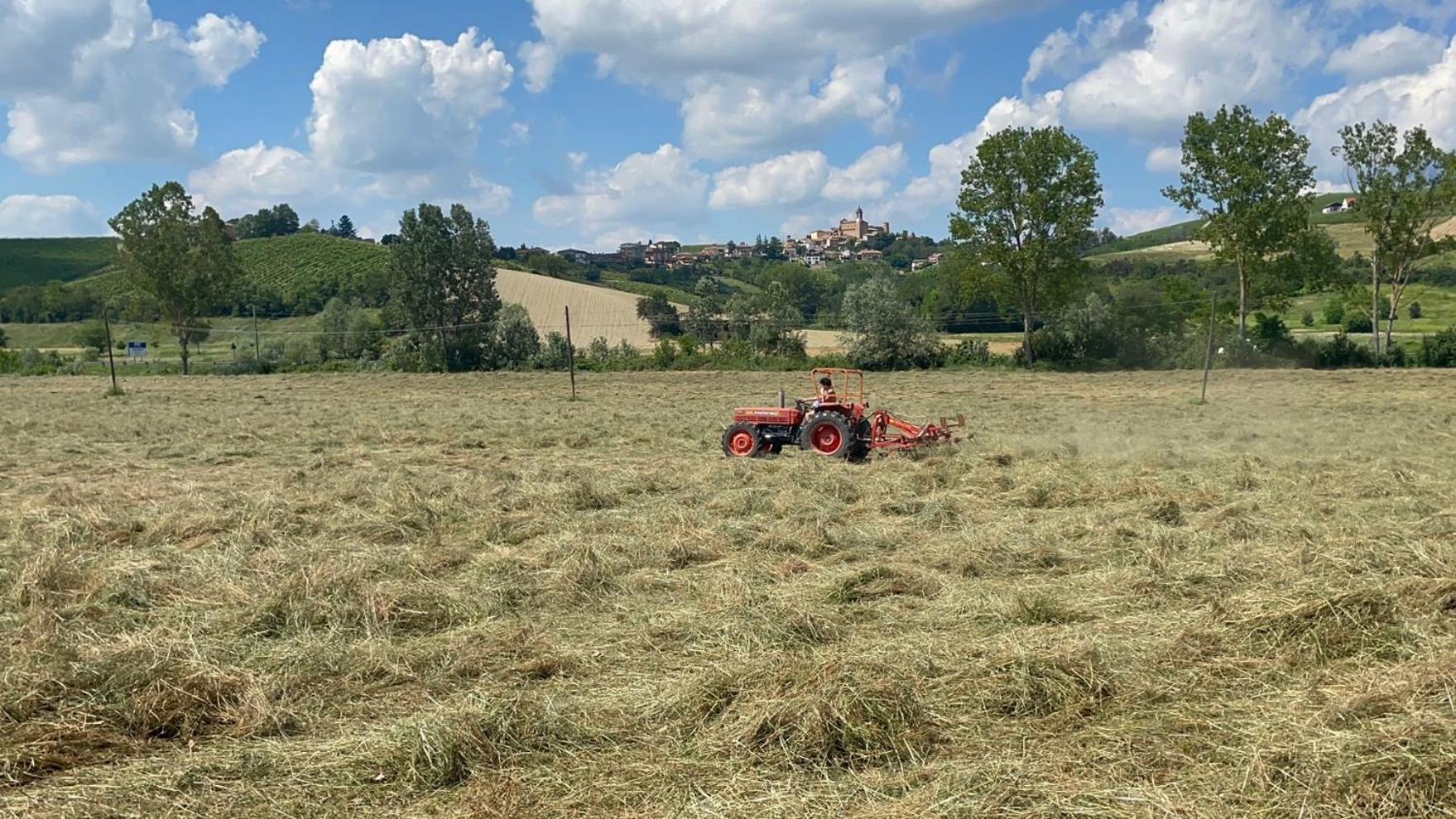Agriturismo La Mussia Castelnuovo  Bagian luar foto